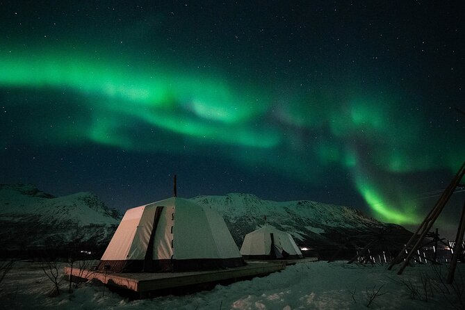 Overnight Stay with Reindeer Sledding & Feeding - Tromsø Check-In, Then the Drive Toward Kvaløya