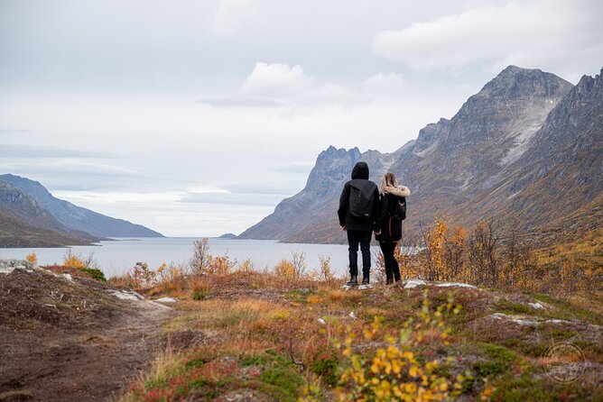 Private Arctic Fjord Roadtrip with Scenic Picnic from Tromso - Key things to know before you go