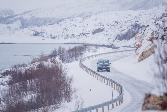 Private Arctic Fjord Roadtrip with Scenic Picnic from Tromso - Sommarøy and Ersfjordbotn: more variety without adding extra hassle