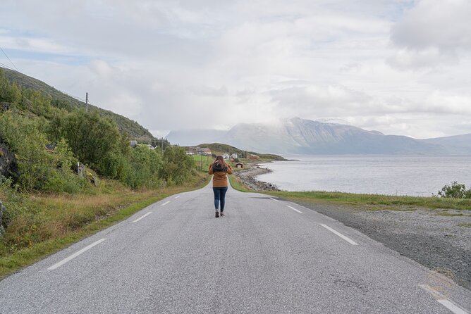 Private Arctic Fjord Roadtrip with Scenic Picnic from Tromso - Weather and timing: how to plan so the day stays fun