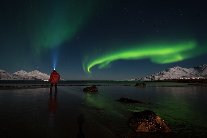 Private & Exclusive Northern Lights Tour with Professional guide - Key reasons this Tromso aurora tour gets rave marks