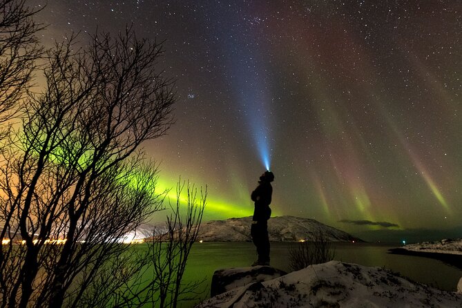 Private & Exclusive Northern Lights Tour with Professional guide - Why a private Northern Lights hunt in Tromsø makes sense