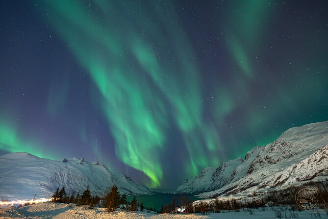Private Northern Lights Chase with Photography from Tromsø - Price in context: $2,094 per group, and why it can still be good value