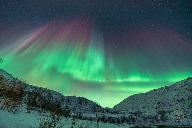 Private Northern Lights Chase with Photography from Tromsø - Who should book this private northern lights chase from Tromsø