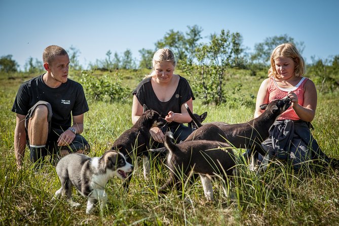 Puppy Training Experience at a Husky Farm in Tromso - Lunch at the husky farm: stew, soup, and cake that make the day feel complete