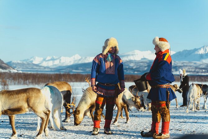Reindeer Feeding and Sami Culture Afternoon Departure - Getting There From Fredrik Langes gate 4 at 1:00 pm