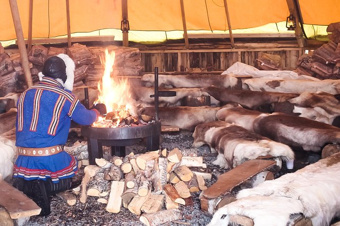 Reindeer Feeding and Sami Culture Including Lunch from Tromso - Joik singing and Sami storytelling with guides like Daniel