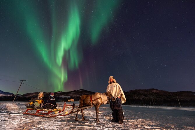 Reindeer Feeding and Sledding, Sami Storytelling Night Tour - The lavvu camp dinner: warmth, stew, and Sami storytelling