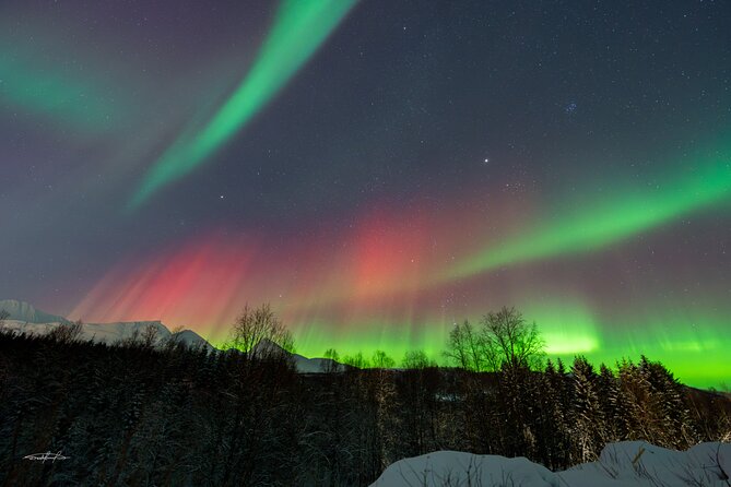 Reindeer Feeding and Sledding, Sami Storytelling Night Tour - Lasso throwing and the fun factor that keeps it from feeling staged