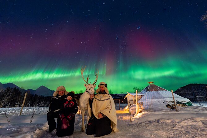 Reindeer Feeding and Sledding, Sami Storytelling Night Tour - Who should book this experience