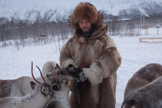 Reindeer feeding & Saami Culture - Who should book this reindeer and Sámi culture tour