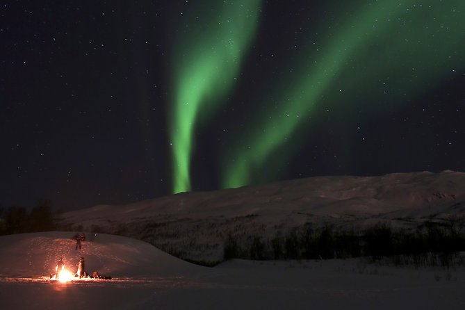 Reindeer feeding & Saami Culture with chance for Northern Lights - Northern Lights Viewing: Worth it, but read it as a chance