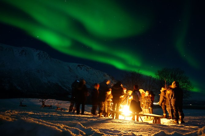 Reindeer feeding & Saami Culture with chance for Northern Lights - The Minibus Ride Out: Comfortable, but it takes time