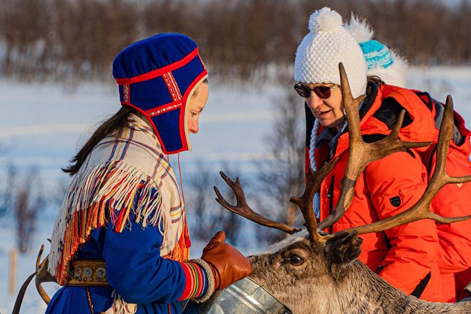 Reindeer feeding & Saami Culture - Warming up in the Sámi lavvu with hot drinks, lunch, and fire-time comfort