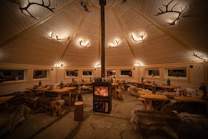 Reindeer Sledding and Feeding with Chance of Northern Lights Tromso - Weather, crowds, and practical tips for a smooth night