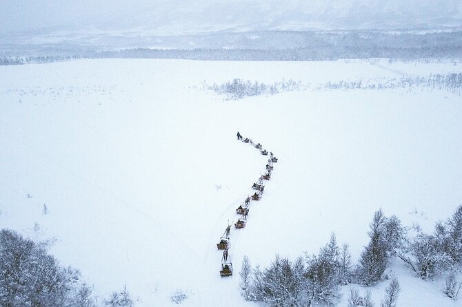 Reindeer Sledding and Feeding with Sami Culture in Tromso. - Why This Tromsø Reindeer and Sámi Camp Feels Different Than a Quick Photo Stop