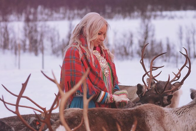 Reindeer Sledding and Feeding with Sami Culture in Tromso. - Reindeer Sledding: The 30 Minutes That Depends on Snow