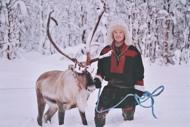 Reindeer Sledding and Feeding with Sami Culture in Tromso. - Lunch, Drinks, and Staying Warm Without Guesswork