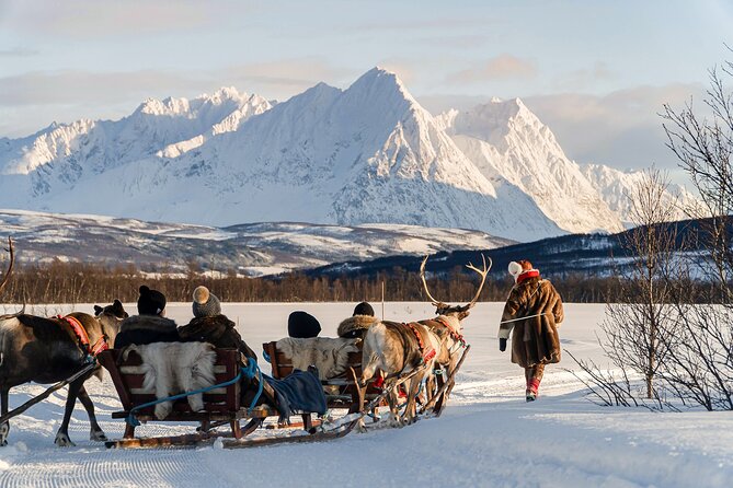Reindeer Sledding and Feeding with Sami Culture in Tromso. - The Coach Ride Out: How the Morning Sets Up the Camp