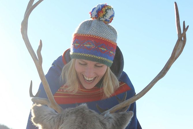 Reindeer Sledding Experience and Sami Culture Tour from Tromso - Bidos-Style Meal and Sweet Cake: What You’ll Eat