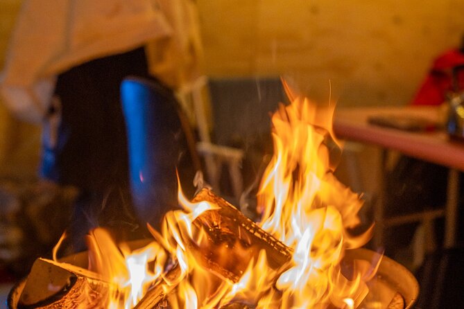 Reindeer Sledding, Feeding And Sami Culture At Reindeer Farm - Key Highlights You Shouldn’t Miss