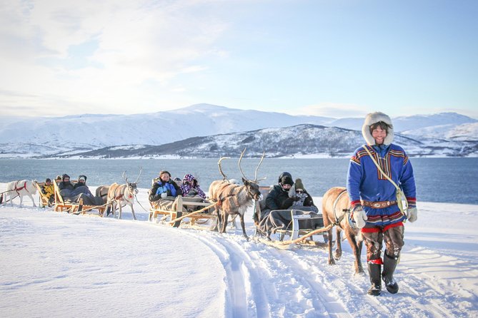 Sami Culture and Short Reindeer Sledding from Tromso - Getting to the Sami camp from Prostneset bus terminal