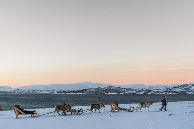 Sami Culture and Short Reindeer Sledding from Tromso - Warming up in a lavvu: coffee, bidos soup, and cake