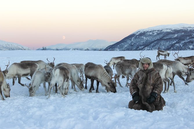 Sami Culture and Short Reindeer Sledding from Tromso - What to wear and pack so the day feels easy