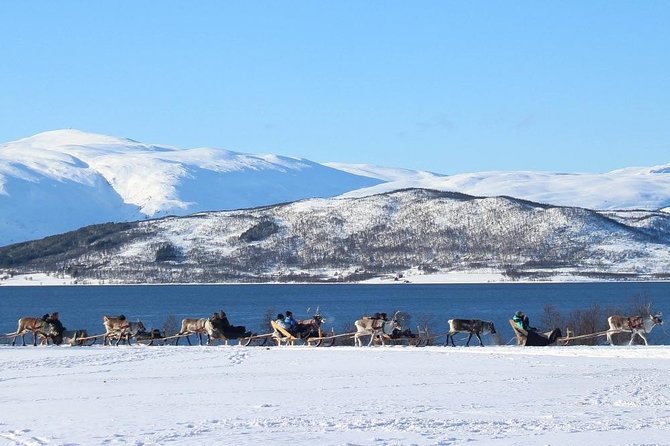 Sami Culture and Short Reindeer Sledding from Tromso - Who should book this Sami reindeer camp, and who should skip it