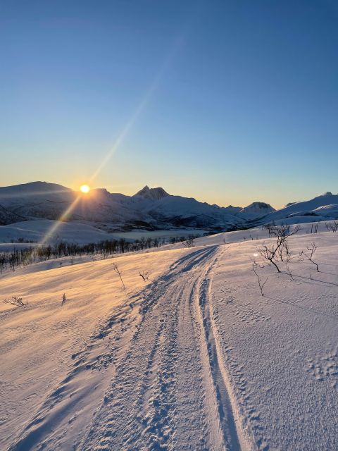 Senja Island: Winter Light Package Deal, 1 Day and 1 Night - From Tromsø to Senja: the 36-hour rhythm that works