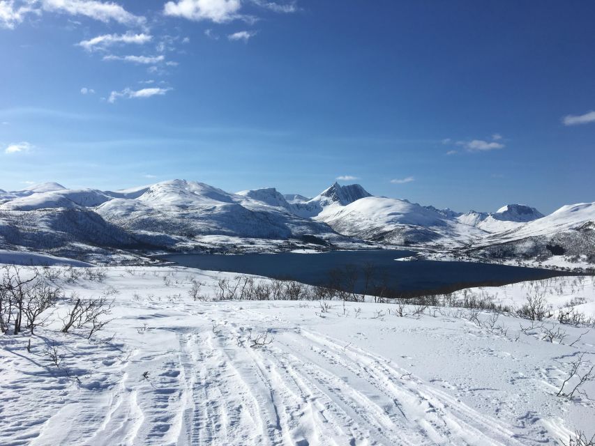 Senja Island: Winter Light Package Deal, 1 Day and 1 Night - What you get (and what to bring) so you stay warm