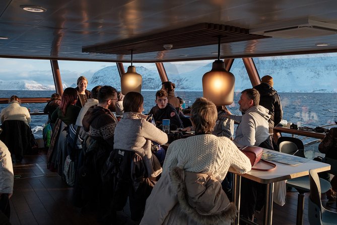 Silent Whale Watching by Hybrid-Electric Boat from Tromsø - Boat comfort in polar weather: warm cabin, rough seas, and being ready for motion