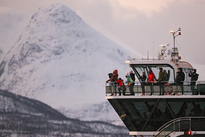 Silent Whale Watching by Hybrid-Electric Boat from Tromsø - Silent whale watching ethics: what you should notice when whales are nearby