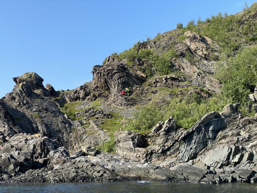 Skjervøy: Birds and Wildlife of Arctic Norway - Key Highlights Worth Your Attention