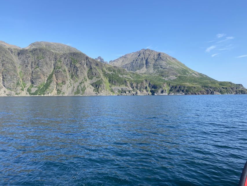 Skjervøy: Birds and Wildlife of Arctic Norway - Birds Over the Fjord, What Makes This Watching So Satisfying