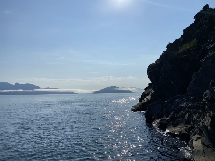 Skjervøy: Birds and Wildlife of Arctic Norway - Land Mammals From the Water, Moose and Reindeer Checks