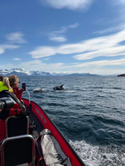 Skjervøy: Birds and Wildlife of Arctic Norway - Meeting at the Red Door and Getting Cold-Weather Ready Fast
