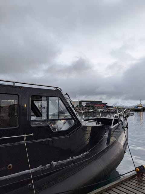 Skjervøy: Orca and Whale-Watching comfort heated Boat Trip - How the crew finds whales, and how they keep it respectful