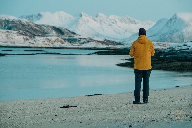 Small Group Arctic Fjords Road trip with Scenic Picnic - Kvaløya: Fjords, Arctic Beaches, and Frozen Lakes
