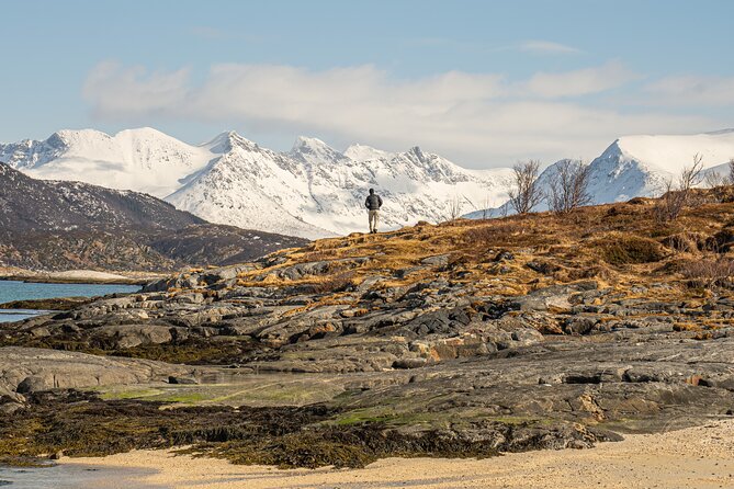 Small Group Arctic Fjords Road trip with Scenic Picnic - Pickup, Timing, and the 8-Person Group Advantage