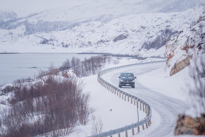 Small Group Arctic Fjords Road trip with Scenic Picnic - Wildlife Spotting: What You Can Expect (and What You Shouldn’t)