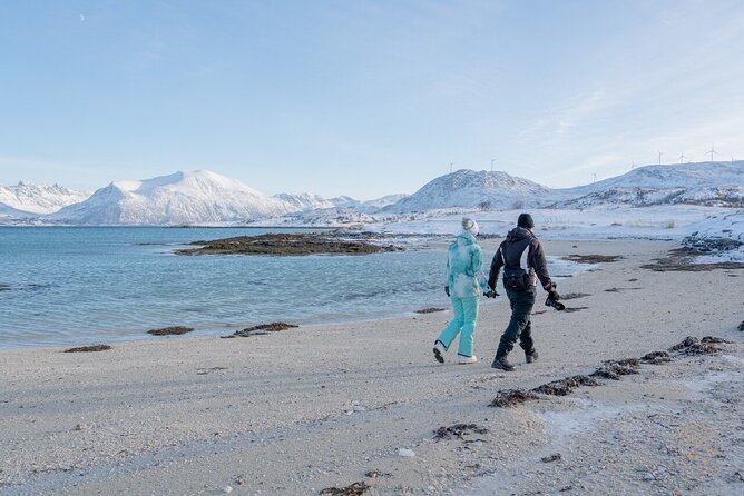 Small Group Arctic Fjords Road trip with Scenic Picnic - Should You Book the Arctic Fjords Road Trip With Scenic Picnic?
