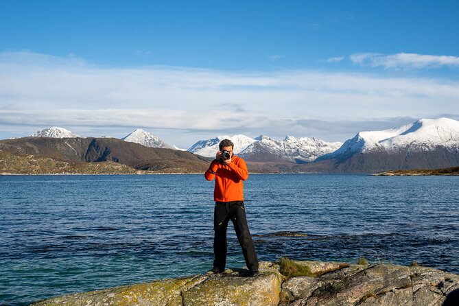 Small Group Arctic Fjords Road trip with Scenic Picnic - Your Scenic Picnic: Organic Vegan Sandwich, Cookies, and Hot Drinks