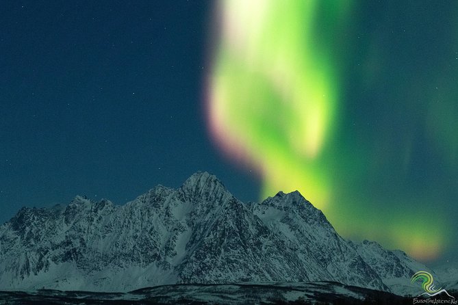 Small-Group Northern Lights Tour from Tromso with Photos - Dressing for Arctic Cold, Even With Thermal Suits