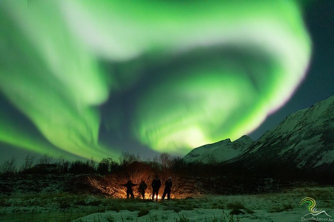 Small-Group Northern Lights Tour from Tromso with Photos - When the Lights Show, What It Actually Feels Like
