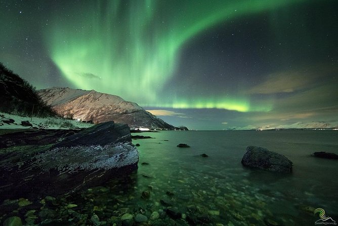 Small-Group Northern Lights Tour from Tromso with Photos - Price and Value at About $153.25 per Person