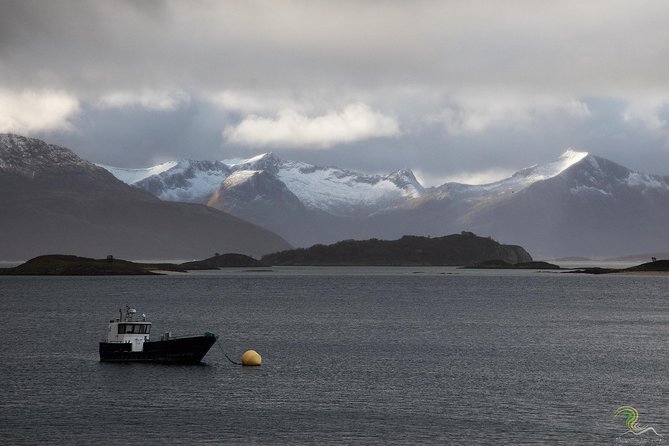 Small-Group Norwegian Fjords Tour from Tromso with Photos - A fjord day that is built for winter, not bravery