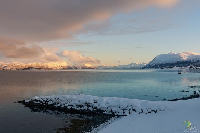 Small-Group Norwegian Fjords Tour from Tromso with Photos - The small-group van setup that keeps you warm and moving