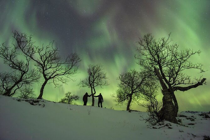 Small Group Quest to find the Northern Lights in Tromsø - Small-group size and the comfortable 4x4 van