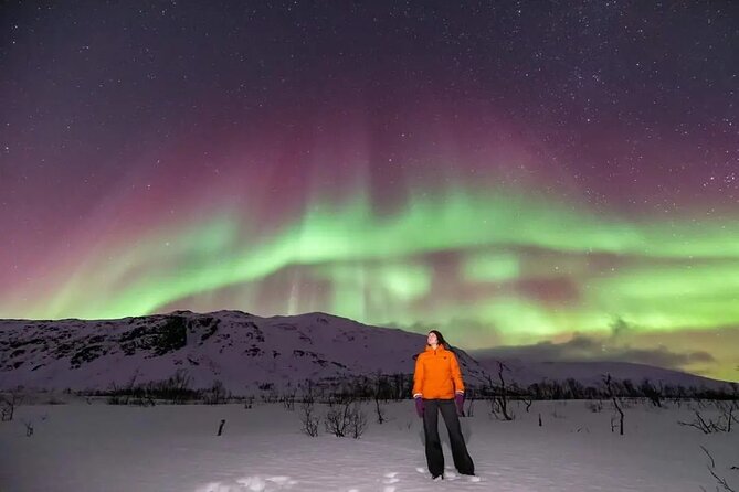 Small Group Tromsø: Northern Lights Chase with Photos and Dinner - The Photographer Factor: Getting Help for Better Northern Lights Photos